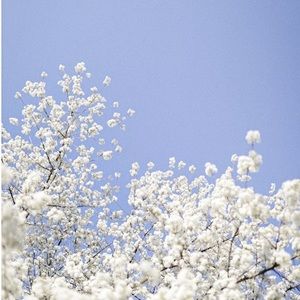 Meet your Posher, Shuhd